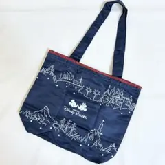 【非売品】東京ディズニーリゾート エコバッグ ポケッタブル 折りたたみ JCB