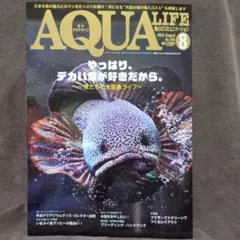 2026年最新】月刊アクアライフの人気アイテム - メルカリ