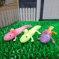 2025年最新】ウーパールーパー スクイーズの人気アイテム - メルカリ