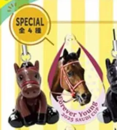 新品未開封】アイドルホースミニコレクション フォーエバーヤング vol 