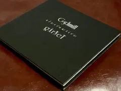 レア G-schmitt 「alternative gaRNeT」 廃盤！CD