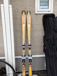 ダイナスター　カービング　178cm 2026年最新】DYNASTAR サイズ：大人 スキー板の人気アイテム - メルカリ