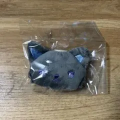 JOCHUM ジェオチャムシークレットブローチ ピーハイ