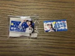 テニミュ 観劇報告クリップ おなまえシール 越前リョーマ 竹内雄大
