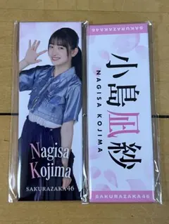 Item thumbnail for item 59925042-8b70-40dc-96da-5ba4d23a705d