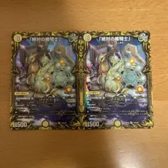 絶対の楯騎士」 アブソリュートシールドナイトaシク2枚セット - メルカリ