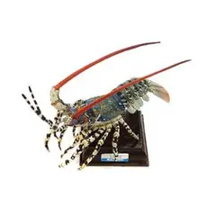 2026年最新】鳥羽 ニシキエビの人気アイテム - メルカリ