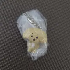 MINI TEEN キーホルダー ガチャ ドギョム DOA