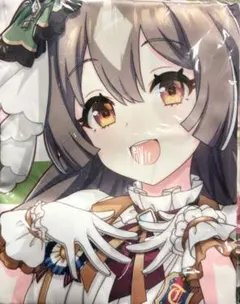 ウマ娘 プリティーダービー BIG布ポスター ニュースターズ▪️ロゼ