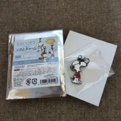 スヌーピー メタルチャーム　3BOX（24個入り） スヌーピー メタルチャーム 3BOX（24個入り） - メルカリ