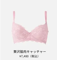 贅沢脇肉キャッチャー ピンクのサムネイル