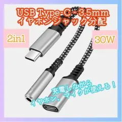 2in1 Type-C イヤホン変換アダプタPD 30W 急速充電 m5m