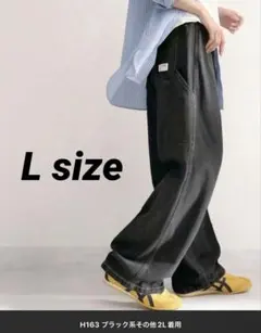 JaVa メンズライクペインターツイル＆ワイドデニムパンツ L