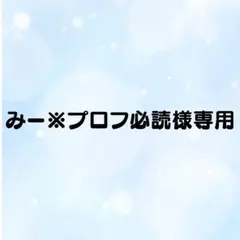み@プロフ必読様専用 - メルカリ