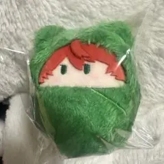 カラフルピーチ　くるみたぴぬい　じゃぱぱ　からピチ