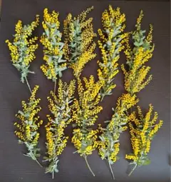 akst様 リクエスト 2点 まとめ商品