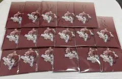STPR ThanksParty C賞 キーホルダー ばぁうくん 25個 - メルカリ