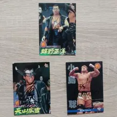 ジャイアント馬場 オレの人生・プロレス・旅 直筆サイン入り - メルカリ