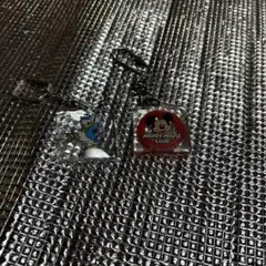 Item thumbnail for item 64f00c93-99b3-4f33-820e-4e922aa38d40