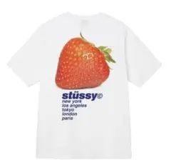 stüssy いちごグラフィック Tシャツ XL ホワイト