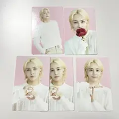 SEVENTEEN SVT CAFE in SEOUL トレカ ジョンハン