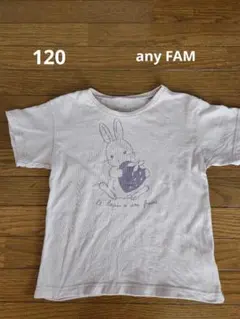 Tシャツ 半袖 any FAM 120
