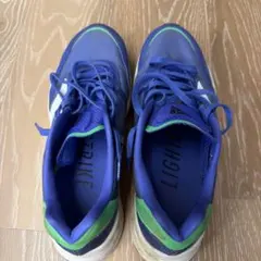 adidas ADIZERO ボストン10