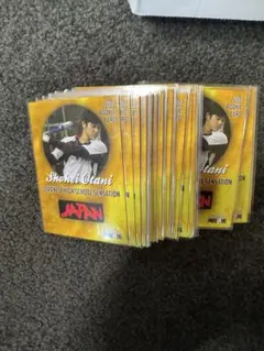 Item thumbnail for item 2e074607-c13c-44de-b6a5-d6c31f8d8e35