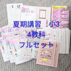 Gnoble グノーブル 小学3年 理科 4教科 夏期講習 - メルカリ