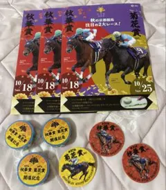 JRA京都競馬秋華賞＆菊花賞セット