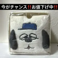 ‼️お値下げ中‼️PEANUTS スヌーピー オラフ ケース