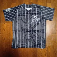 Item thumbnail for item 154445d8-4ae3-4dd2-a69a-1955de5d2da3