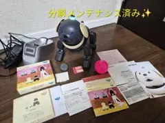 分解メンテナンス済み✨️SONY AIBO ERS-312　マカロンのサムネイル