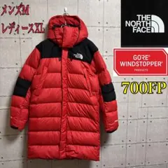 【美品、高品質】ノースフェイス ウィンドストッパー 700FP ロングダウン
