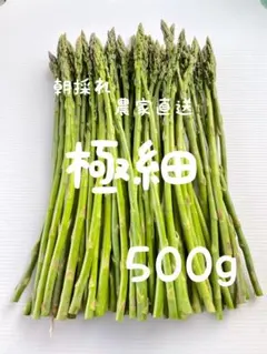 朝採れ　農家直送　アスパラ　アスパラガス　500gのサムネイル