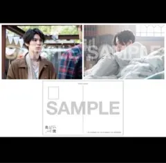 美しい彼　セブンネット　特典八木勇征　萩原利久　シーズン　ポストカード セット