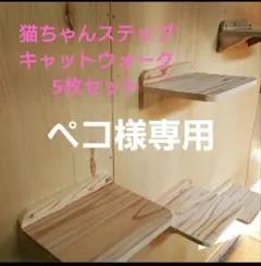 ペコ様専用　　猫ちゃんステップ