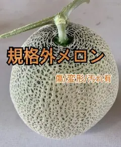 規格外⭐︎富良野産赤肉メロン２玉入訳ありのサムネイル