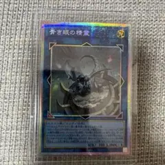 魚群探知機 プリズマティックシークレット プリシク 絵違い アジア