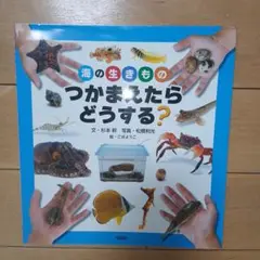 海の生きもの つかまえたら どうする?