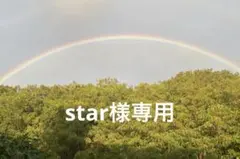 star様 リクエスト 2点 まとめ商品