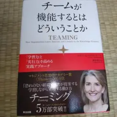チームが機能するとはどういうことか 「学習力」と「実行力」を高める実践アプローチ