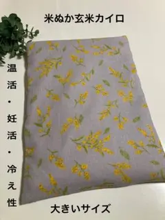 Item thumbnail for item b42b02ac-0643-44b9-a1f7-cd540a848e18