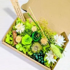 琉球*海花のたね 0715-B 海花☆バラエティセット - メルカリ