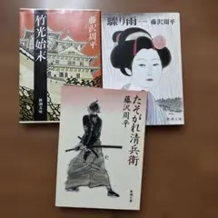 驟り雨 たそがれ清兵隊 竹光始末