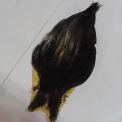 Item thumbnail for item 046a8c78-ee5f-4e35-8f5d-86a5a513315c