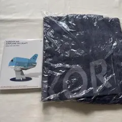 大韓航空 KOREAN AIR ブランケット3Dクラフト セット