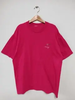 90s USA製 ヤシの木 刺繍 シングルステッチ Tシャツ