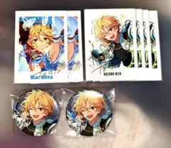 あんスタ 仁兎なずな TRIP 9周年 ぱしゃっつ 缶バッジ