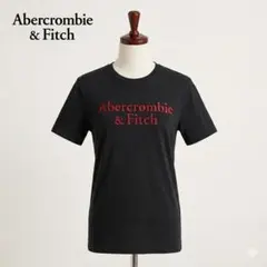 Abercrombie&Fitch 半袖Tシャツ ネイビー Lのサムネイル